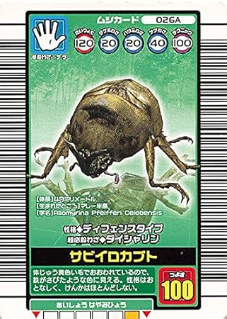 サビイロカブト【アダーコレクション】 esnbilbao.org